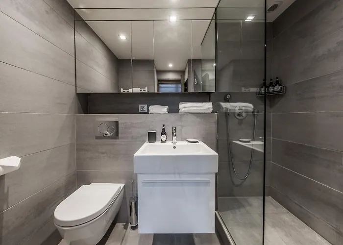 公寓 3 Bedrooms Marmottes - 1850